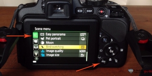 Bird Mode in Nikon CoolPix P600